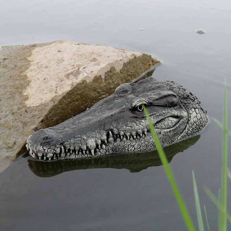crocodile racing boat